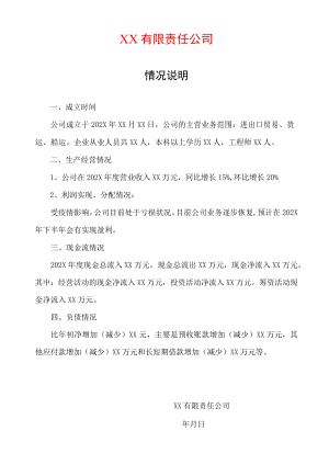 公司基本情况说明通用模板.docx