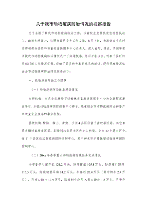 关于我市动物疫病防治情况的视察报告.docx