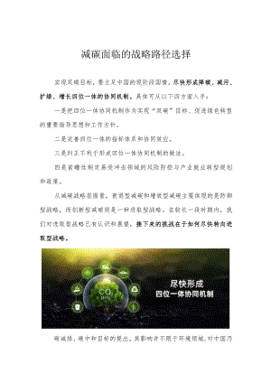 减碳面临的战略路径选择.docx
