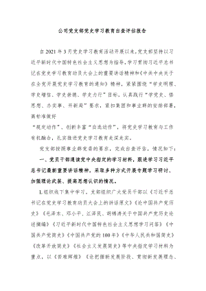 公司党支部党史学习教育自查评估报告.docx
