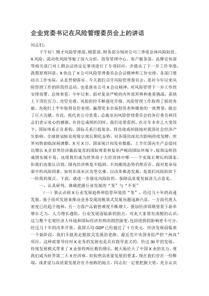 国企党委书记在风险管理委员会上的讲话.docx