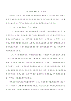 卫生监督所2022年工作总结.docx