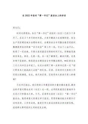 在2022年驻村“第一书记”座谈会上的讲话.docx