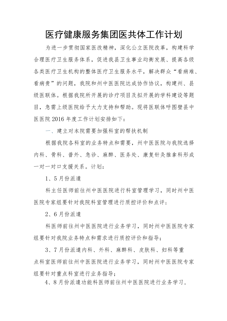 医疗健康服务集团医共体工作计划.docx_第1页