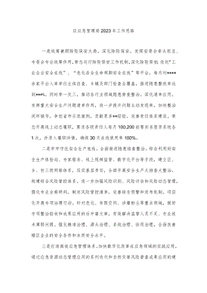 区应急管理局2023年工作思路.docx