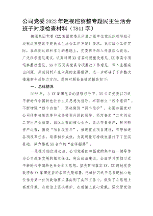 国企党委2022年巡视巡察整专题民主生活会班子对照检查材料.docx