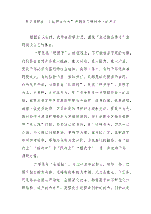 县委书记在“主动担当作为”专题学习研讨会上的发言.docx