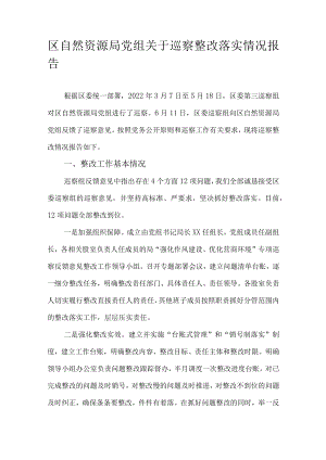 区自然资源局党组关于巡察整改落实情况报告.docx