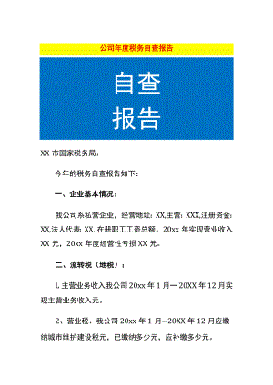 公司年度税务自查报告.docx