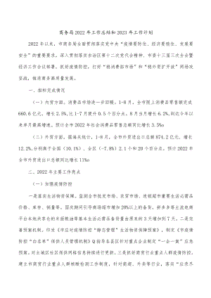 商务局2022年工作总结和2023年工作计划.docx