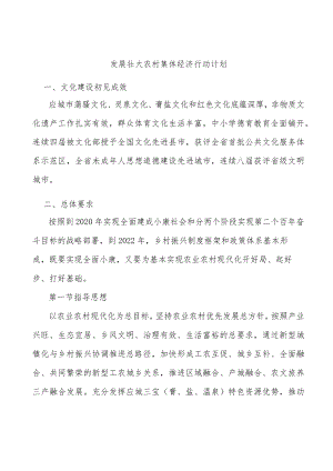 发展壮大农村集体经济行动计划.docx