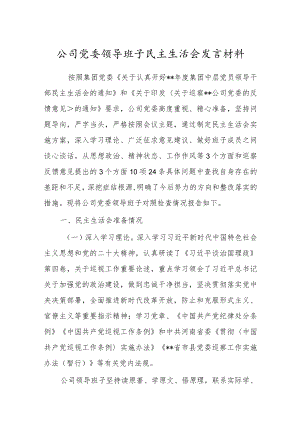 公司党委领导班子民主生活会发言材料.docx