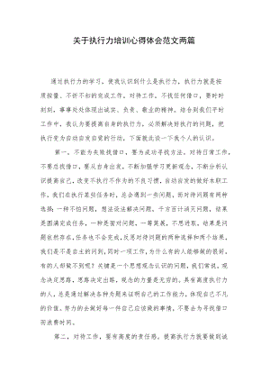 关于执行力培训心得体会范文两篇.docx