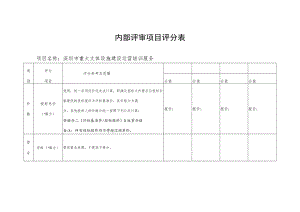 内部评审项目评分表.docx