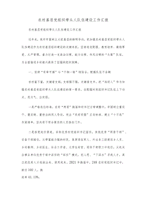 农村基层党组织带头人队伍建设工作汇报.docx