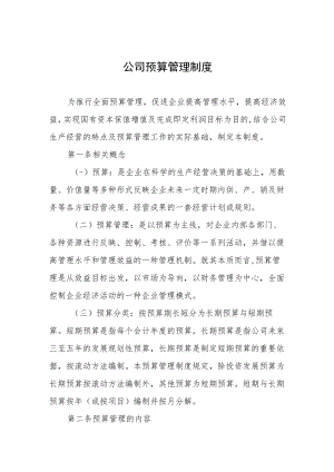 公司预算管理制度.docx