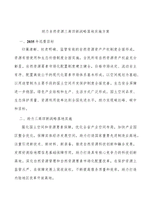 助力自然资源三高四新战略落地实施方案.docx