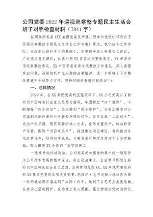 国企党委2022年巡视巡察整专题民主生活会班子对照检查材料.docx