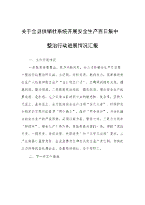 关于全县供销社系统开展安全生产百日集中整治行动进展情况汇报.docx
