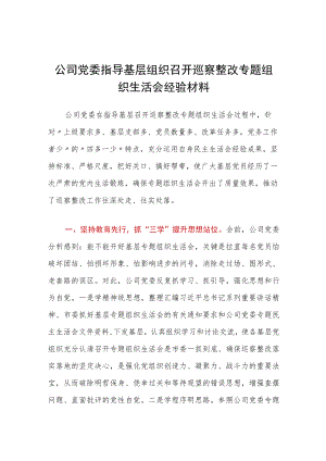 公司党委指导基层组织召开巡察整改专题组织生活会经验材料.docx