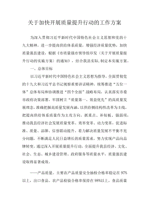 关于加快开展质量提升行动的工作方案.docx