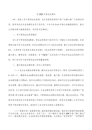 区2022年度述法报告.docx