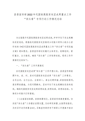 县委宣传部2022年巩固拓展脱贫攻坚成果重点工作“回头看”专项行动工作情况总结(共二篇).docx