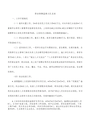 劳动保障监察大队总结.docx