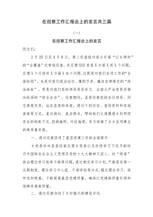 在巡察工作汇报会上的发言共三篇.docx