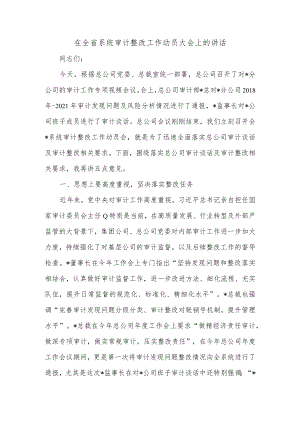 在全省系统审计整改工作动员大会上的讲话.docx