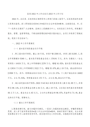 医保2022年工作总结及2023年工作计划.docx