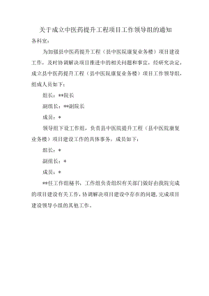 关于成立中医药提升工程项目工作领导组的通知.docx