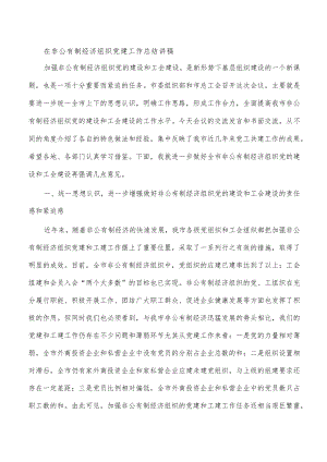 在非公有制经济组织党建工作总结讲稿.docx