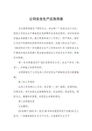 公司安全生产应急预案.docx