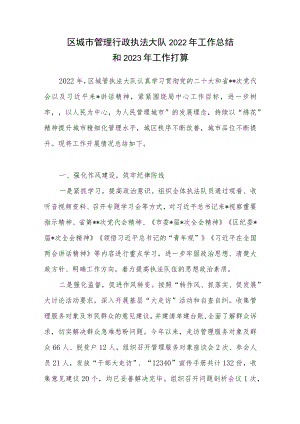 区城市管理行政执法大队2022年工作总结和2023年工作打算思路计划.docx