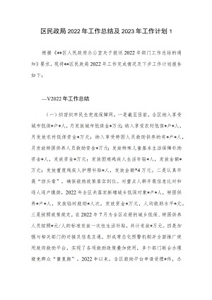 区县民政局2022年度工作总结及2023年工作计划3篇.docx