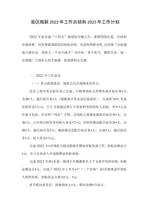 县区残联2022年工作总结和2023年工作计划.docx