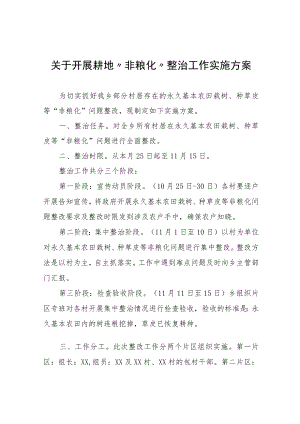 关于开展耕地“非粮化”整治工作实施方案.docx