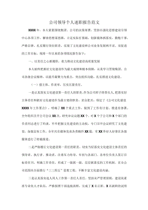 公司领导个人述职报告范文.docx