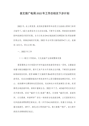 县文旅广电局2022年工作总结及下步计划.docx