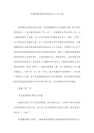 共青团基层组织改革试点工作汇报.docx