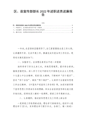区、县宣传部部长2022年述职述责述廉报告.docx