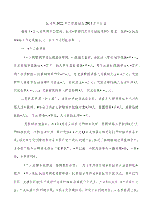 区民政2022年工作总结及2023工作计划.docx