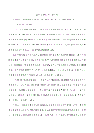 医保局2022年工作总结.docx