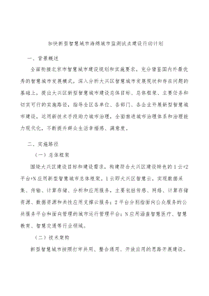 加快新型智慧城市海绵城市监测试点建设行动计划.docx