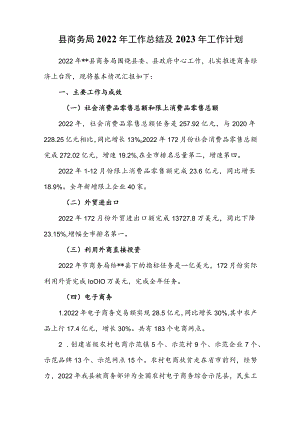 县商务局2022年工作总结及2023年工作计划.docx