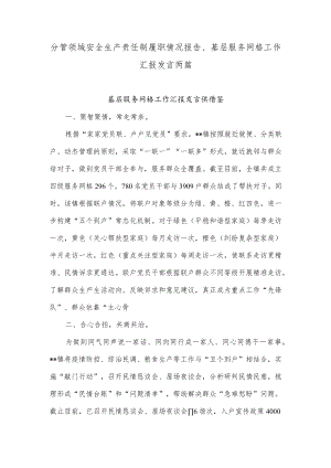 分管领域安全生产责任制履职情况报告、基层服务网格工作汇报发言两篇.docx