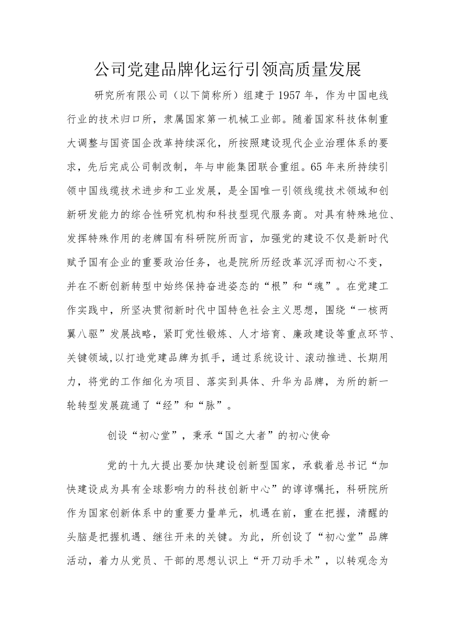 公司党建品牌化运行 引领高质量发展.docx_第1页