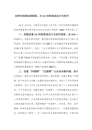 合肥市创新实施新规对202项轻微违法行为免罚.docx