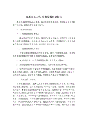 发展党员工作、党费收缴自查报告.docx